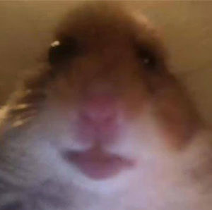 Meet your Posher, Helena